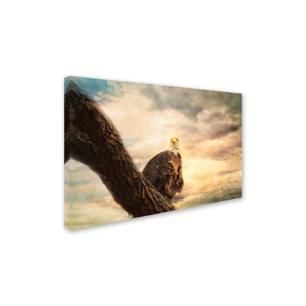 Jai Johnson 'Her Majesty Bald Eagle' Canvas Art,12x19